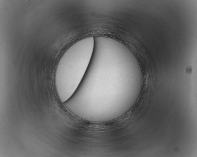 X0000110950559200906191117