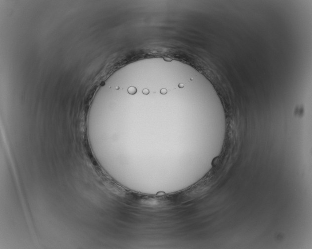 X0000110950561200906191118