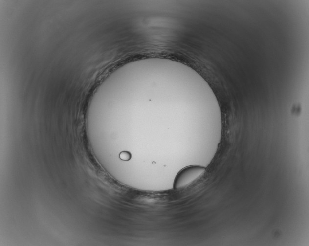 X0000110950563200906191118