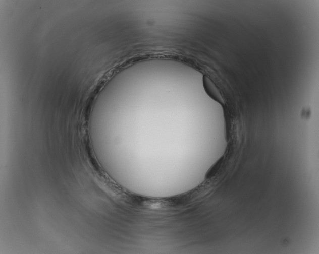 X0000110950564200906191118