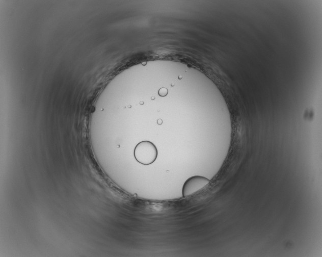 X0000110950565200906191118