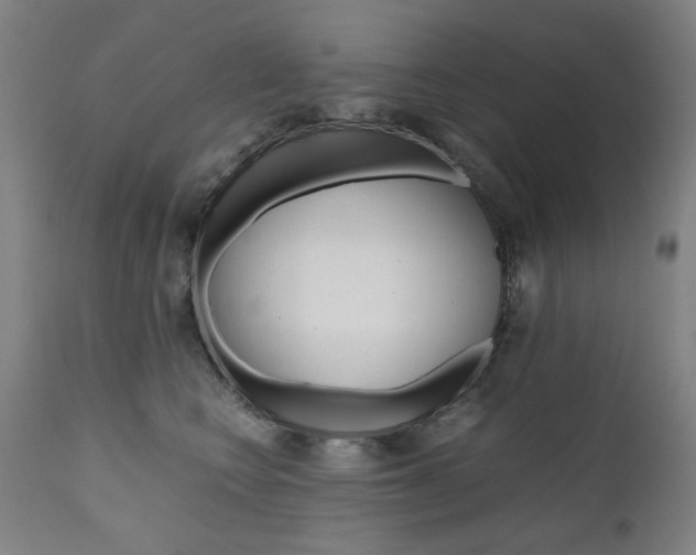 X0000110950566200906191118