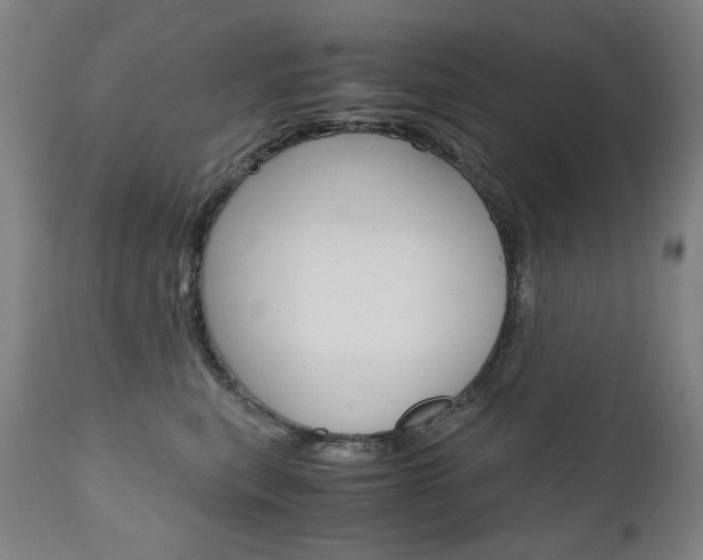 X0000110950567200906191118