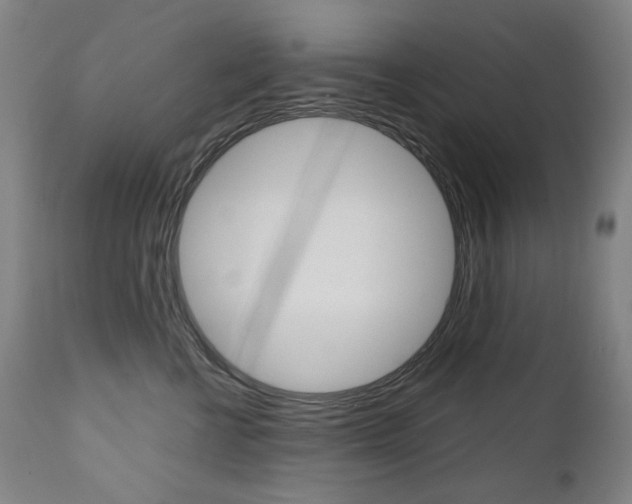 X0000110950570200906191118