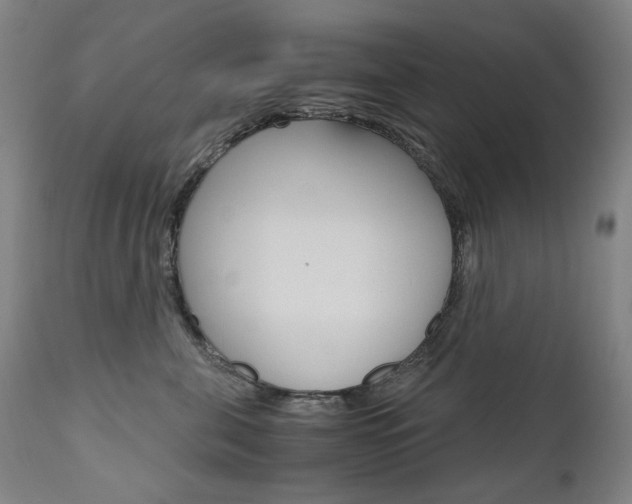 X0000110950571200906191118
