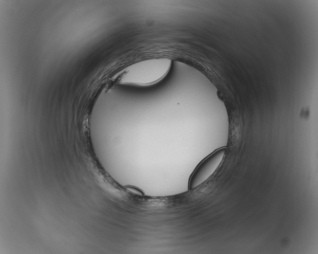 X0000110950574200906191118