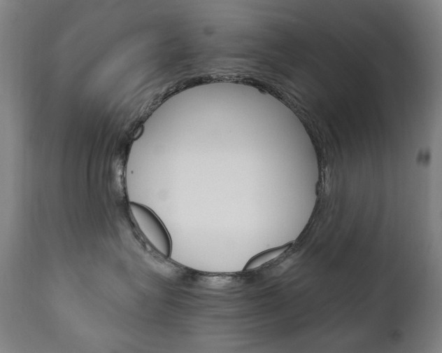 X0000110950575200906191118