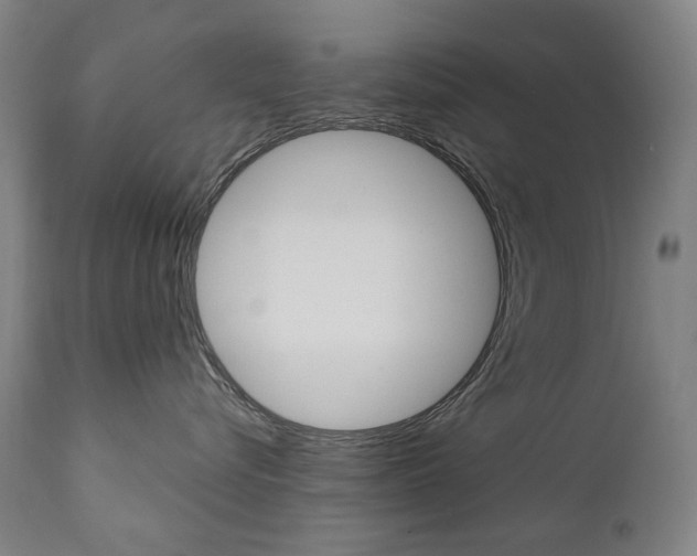 X0000110950576200906191118