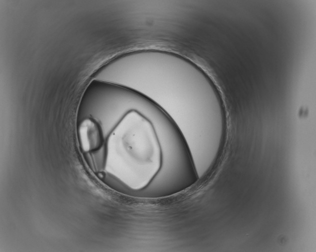 X0000110950577200906191117