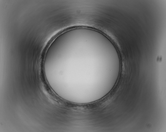 X0000110950580200906191117
