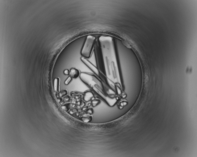 X0000110950581200906191117