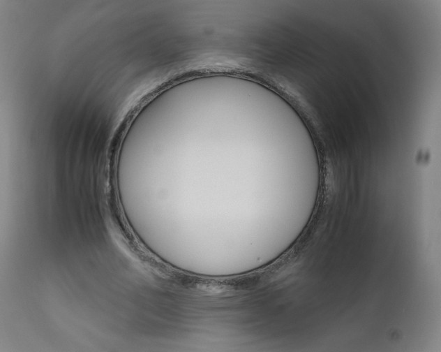 X0000110950582200906191117