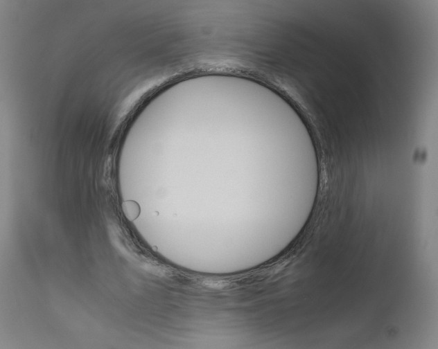 X0000110950583200906191117