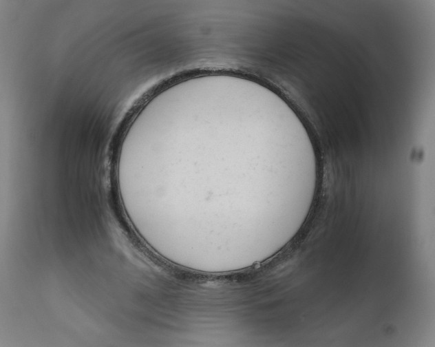 X0000110950584200906191117