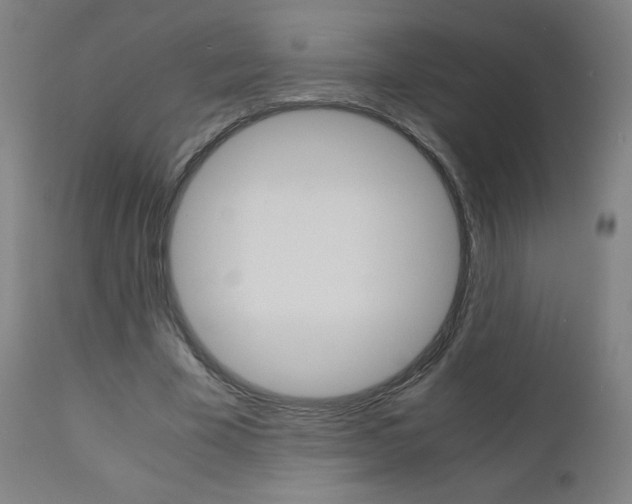 X0000110950585200906191117