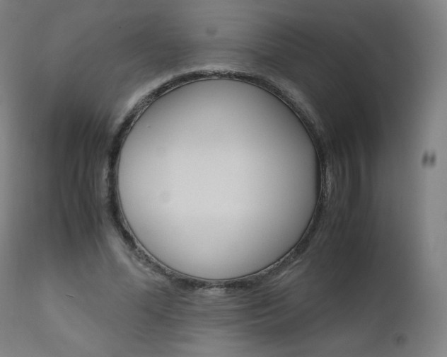 X0000110950588200906191117
