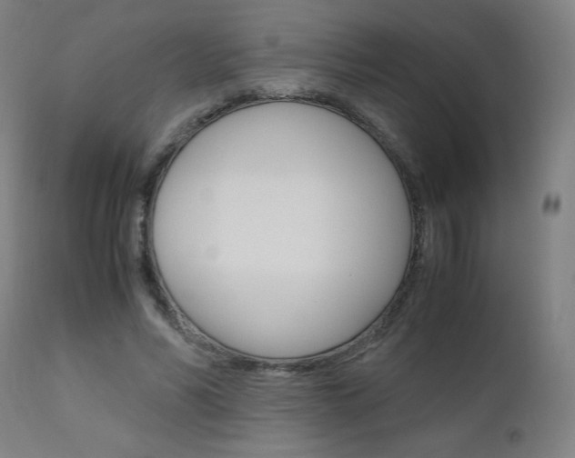 X0000110950590200906191117