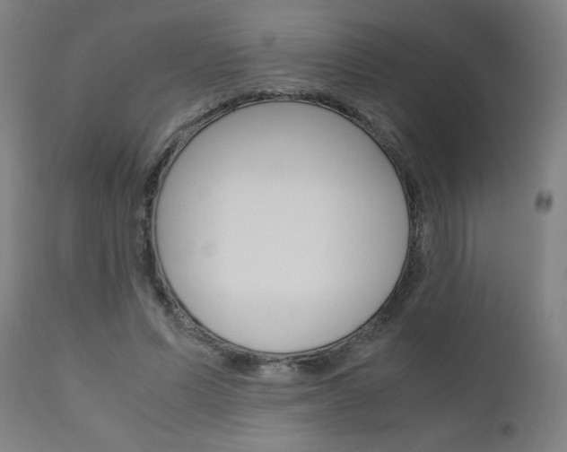X0000110950591200906191117