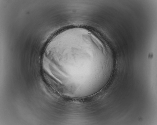 X0000110950592200906191117