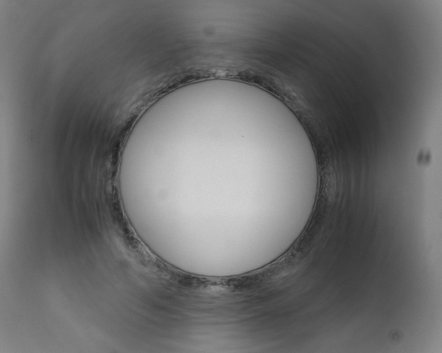 X0000110950594200906191117