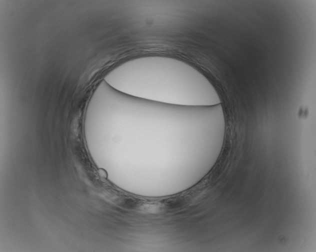 X0000110950595200906191117