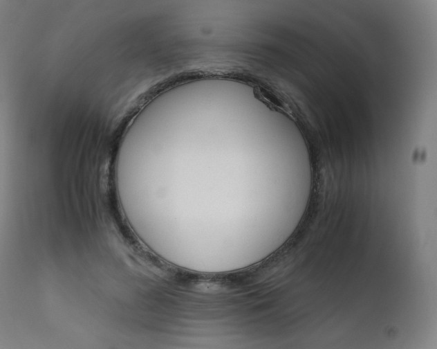 X0000110950596200906191117