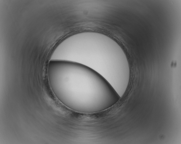 X0000110950597200906191117