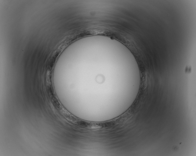 X0000110950598200906191117