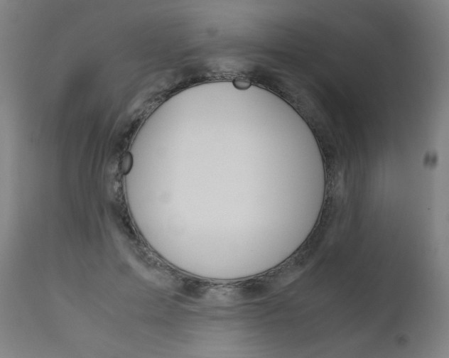 X0000110950599200906191117