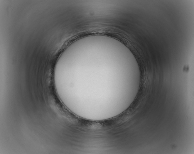 X0000110950600200906191117