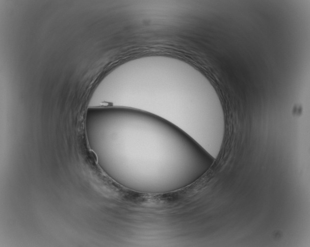 X0000110950601200906191117
