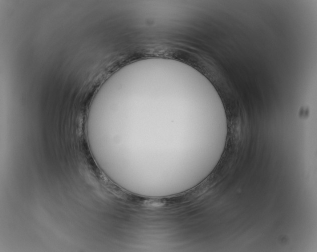 X0000110950602200906191117