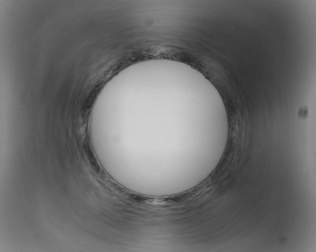 X0000110950607200906191117