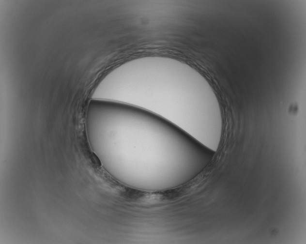 X0000110950609200906191117
