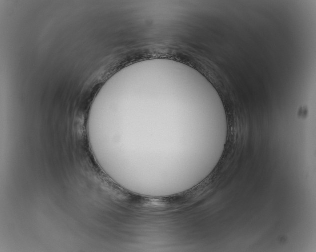X0000110950610200906191117