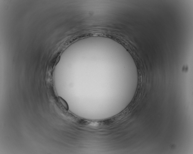 X0000110950611200906191117