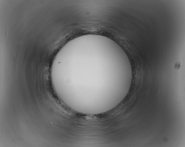 X0000110950612200906191117