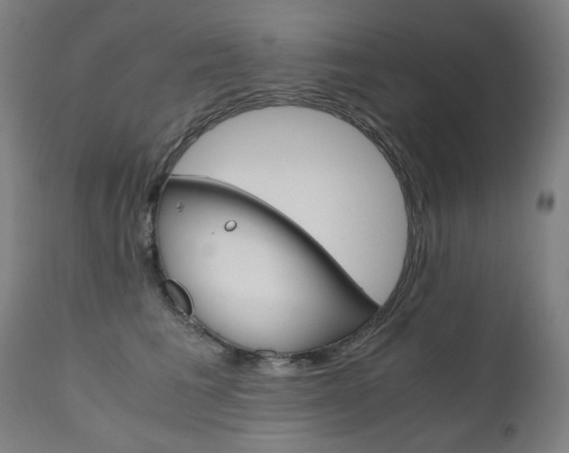 X0000110950613200906191117