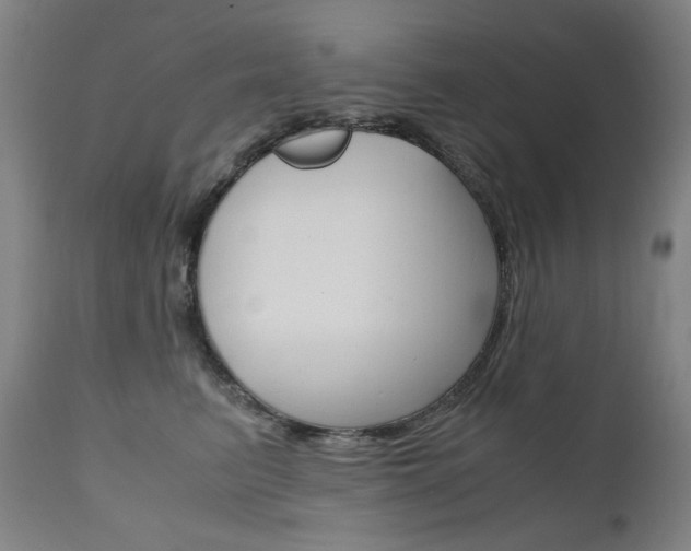 X0000110950615200906191117