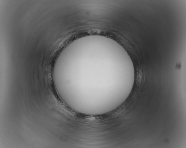 X0000110950616200906191117