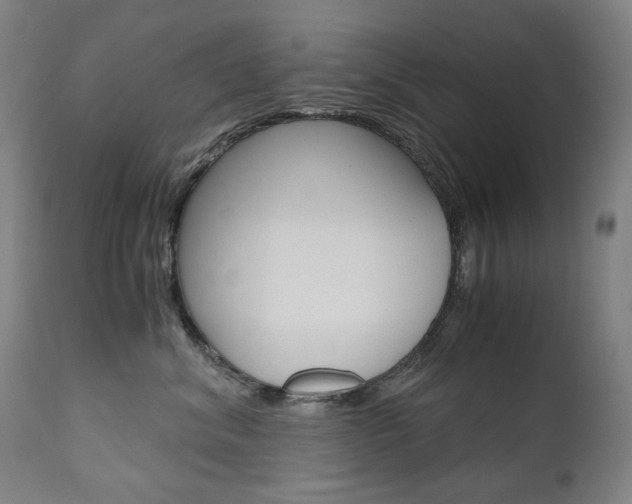 X0000110950620200906191116