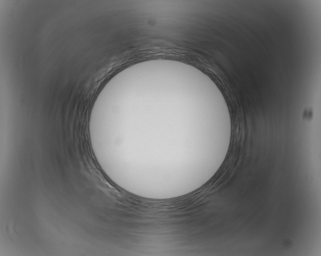 X0000110950621200906191116