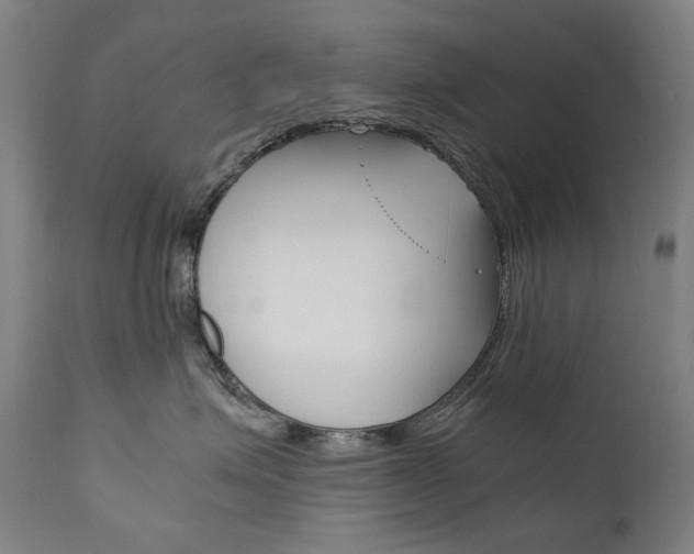 X0000110950623200906191116
