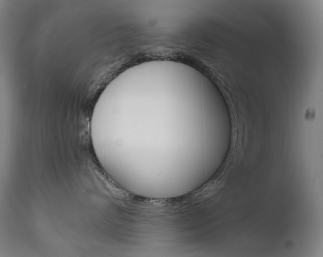 X0000110950624200906191116