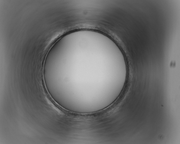 X0000110950625200906191116