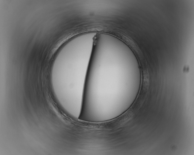 X0000110950626200906191116