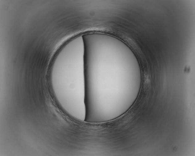 X0000110950628200906191116