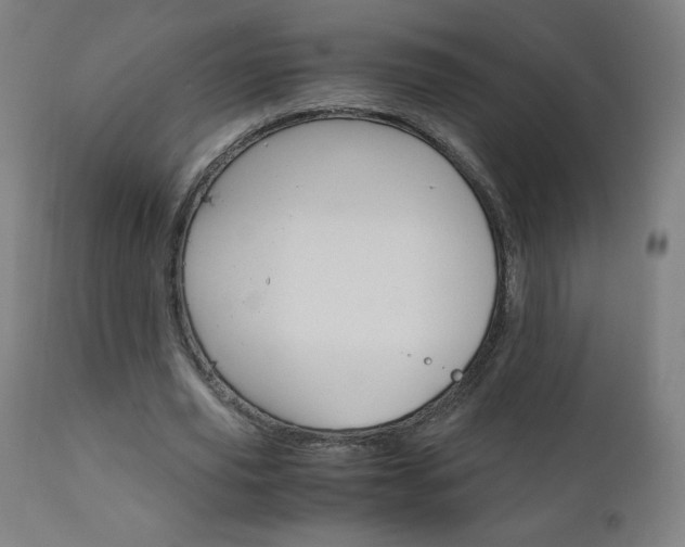 X0000110950629200906191116