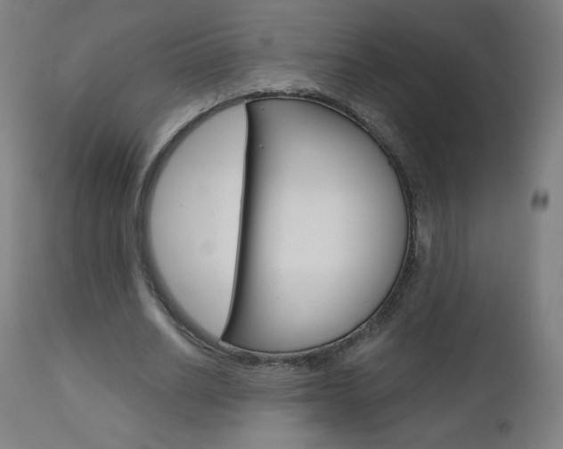 X0000110950630200906191116
