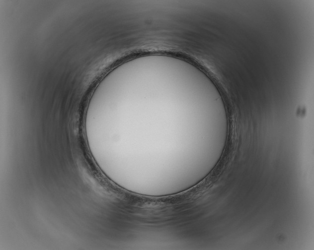 X0000110950631200906191116
